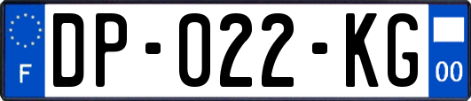 DP-022-KG
