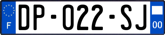 DP-022-SJ