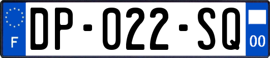 DP-022-SQ