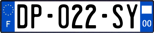 DP-022-SY