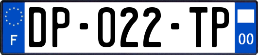 DP-022-TP