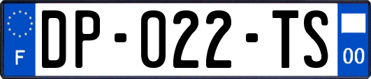 DP-022-TS