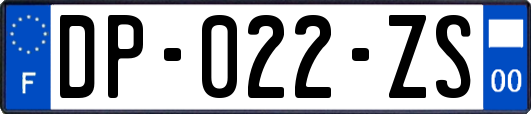 DP-022-ZS