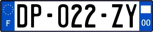 DP-022-ZY