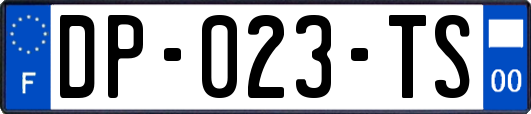 DP-023-TS