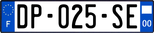 DP-025-SE