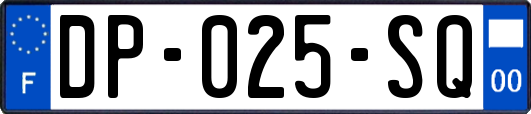 DP-025-SQ