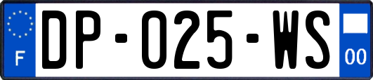 DP-025-WS