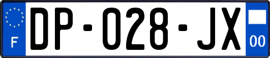 DP-028-JX