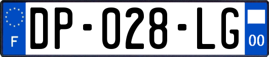 DP-028-LG