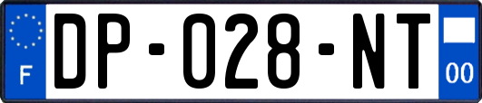 DP-028-NT