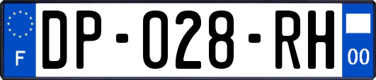 DP-028-RH