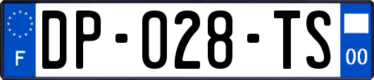 DP-028-TS