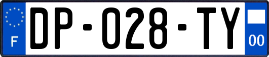 DP-028-TY