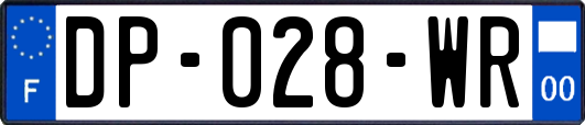 DP-028-WR