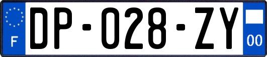 DP-028-ZY