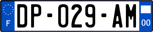 DP-029-AM