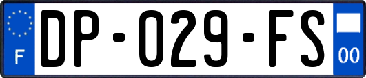 DP-029-FS