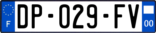 DP-029-FV