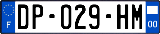 DP-029-HM