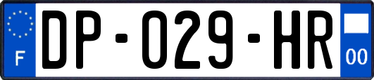 DP-029-HR