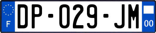 DP-029-JM