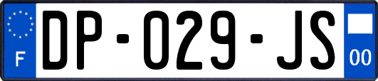 DP-029-JS