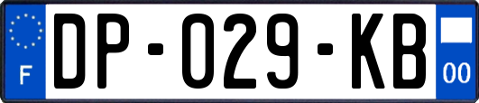DP-029-KB