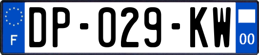 DP-029-KW