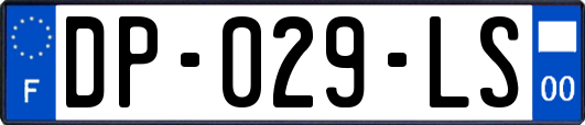 DP-029-LS