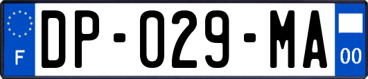 DP-029-MA