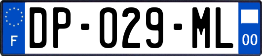 DP-029-ML