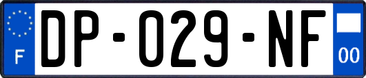 DP-029-NF