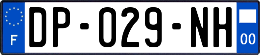 DP-029-NH