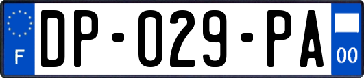 DP-029-PA