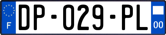 DP-029-PL