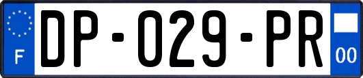 DP-029-PR