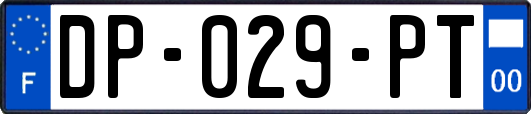 DP-029-PT