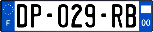 DP-029-RB