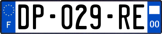 DP-029-RE