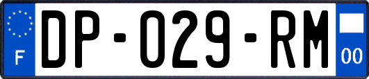 DP-029-RM