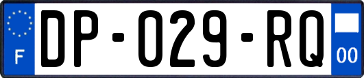 DP-029-RQ
