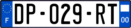 DP-029-RT