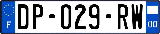 DP-029-RW