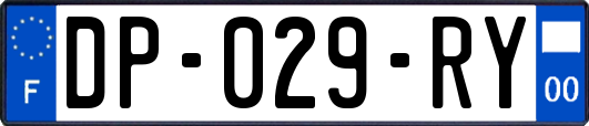 DP-029-RY