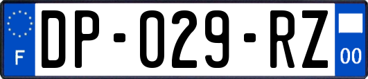 DP-029-RZ