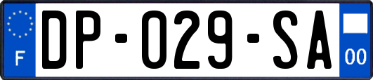 DP-029-SA