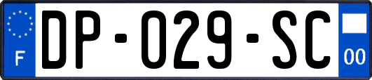 DP-029-SC