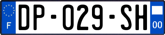 DP-029-SH