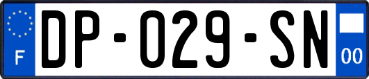 DP-029-SN